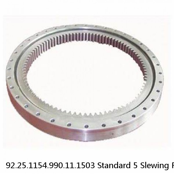 92.25.1154.990.11.1503 Standard 5 Slewing Ring Bearings