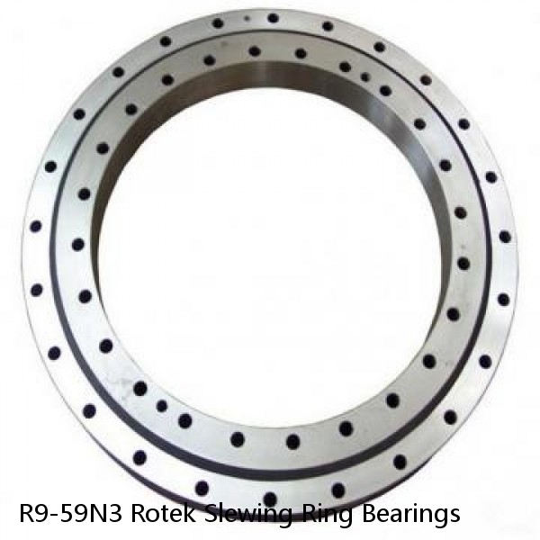 R9-59N3 Rotek Slewing Ring Bearings