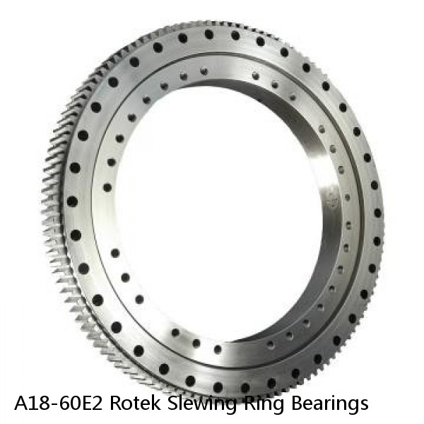 A18-60E2 Rotek Slewing Ring Bearings