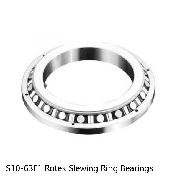 S10-63E1 Rotek Slewing Ring Bearings