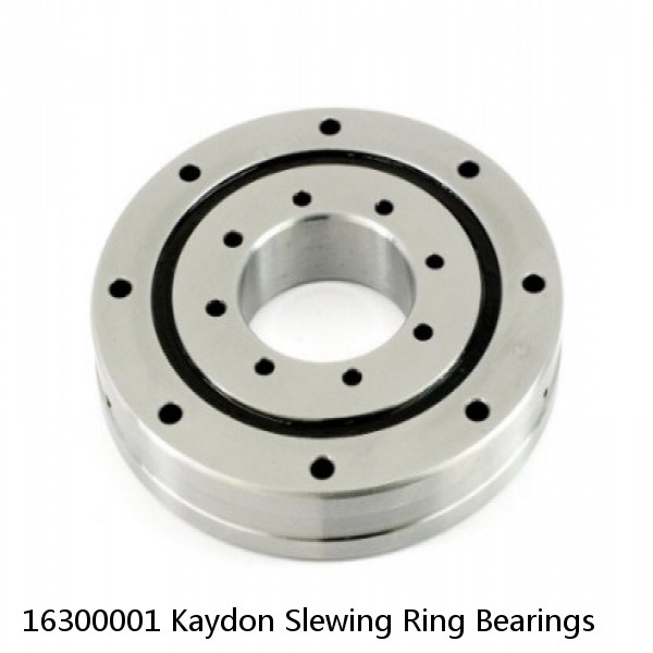 16300001 Kaydon Slewing Ring Bearings