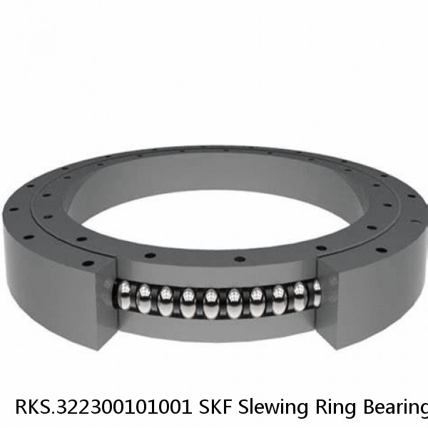 RKS.322300101001 SKF Slewing Ring Bearings