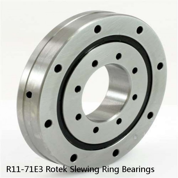 R11-71E3 Rotek Slewing Ring Bearings