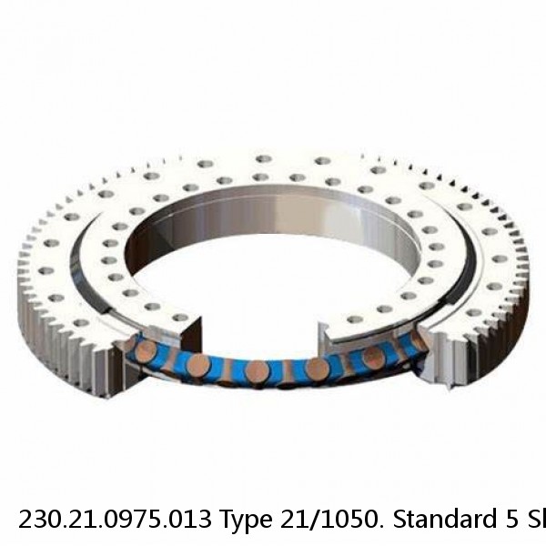 230.21.0975.013 Type 21/1050. Standard 5 Slewing Ring Bearings