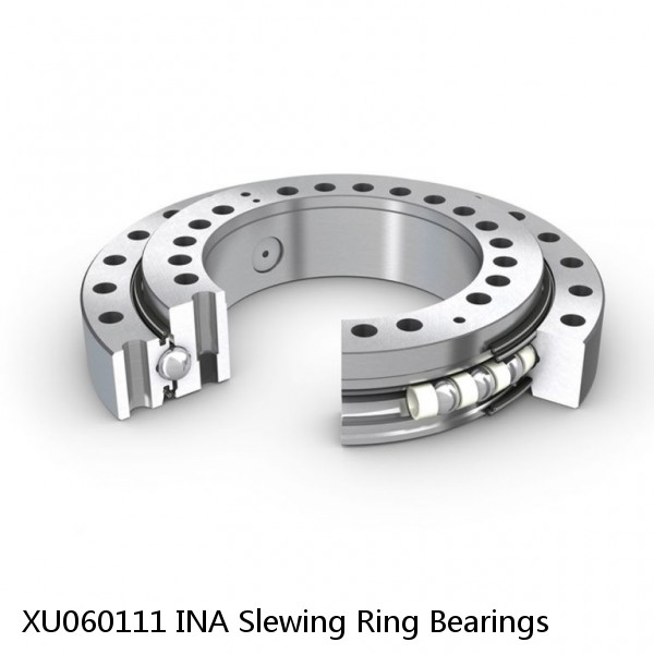 XU060111 INA Slewing Ring Bearings