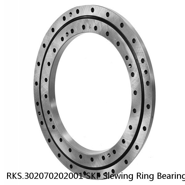 RKS.302070202001 SKF Slewing Ring Bearings