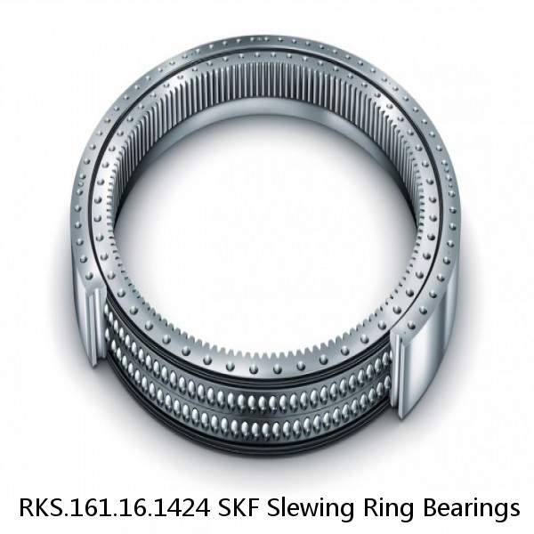 RKS.161.16.1424 SKF Slewing Ring Bearings