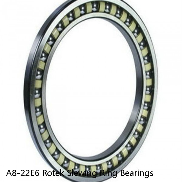 A8-22E6 Rotek Slewing Ring Bearings