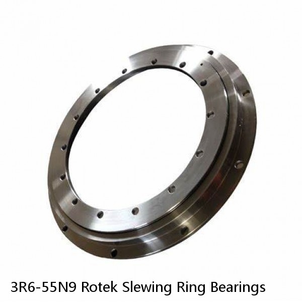 3R6-55N9 Rotek Slewing Ring Bearings