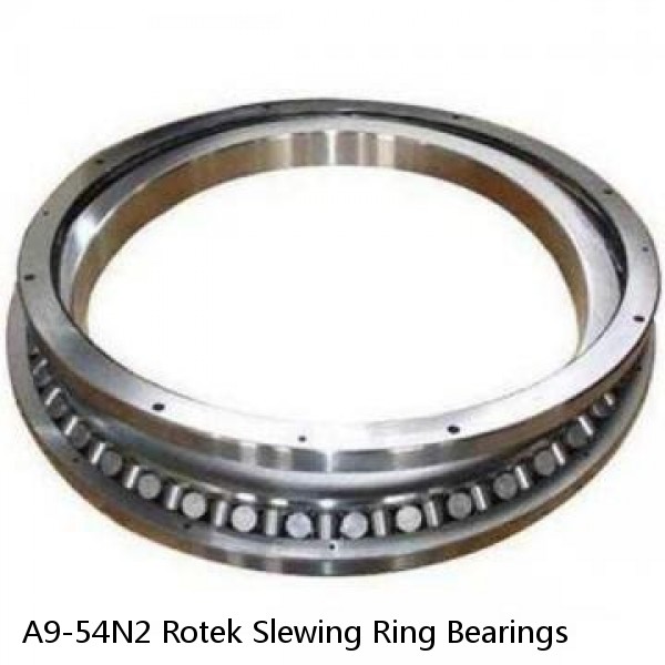 A9-54N2 Rotek Slewing Ring Bearings