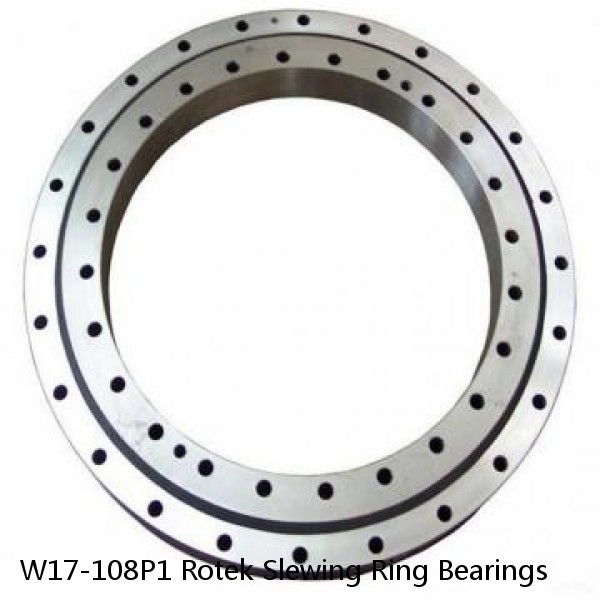 W17-108P1 Rotek Slewing Ring Bearings