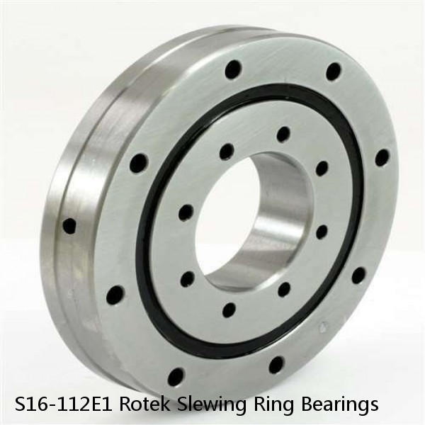 S16-112E1 Rotek Slewing Ring Bearings