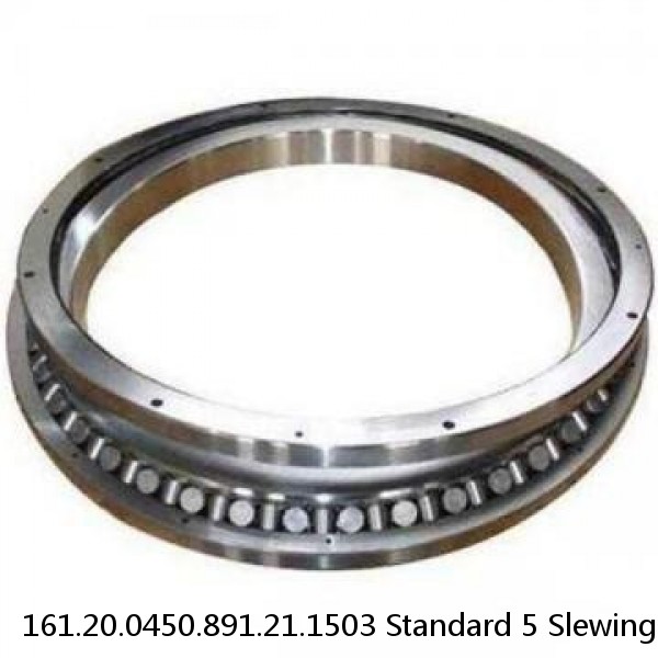 161.20.0450.891.21.1503 Standard 5 Slewing Ring Bearings