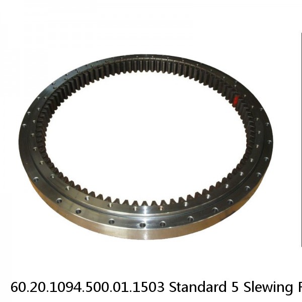 60.20.1094.500.01.1503 Standard 5 Slewing Ring Bearings