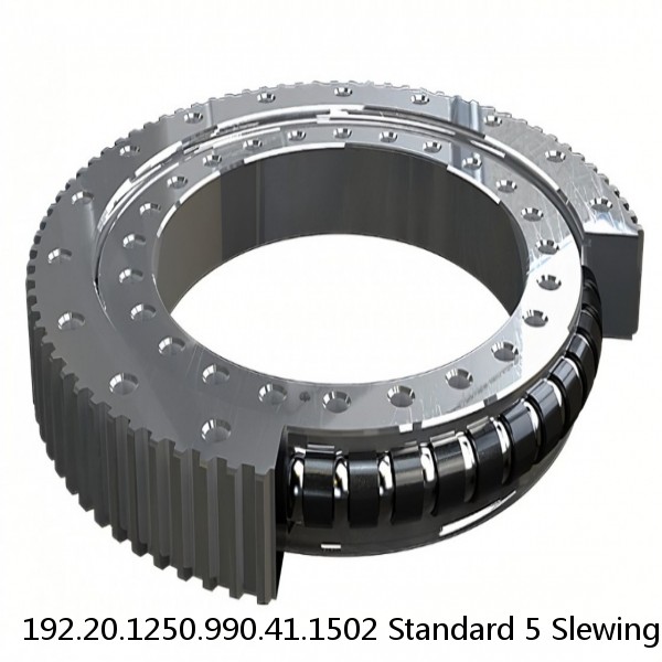 192.20.1250.990.41.1502 Standard 5 Slewing Ring Bearings