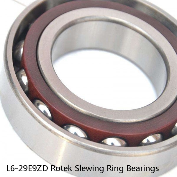 L6-29E9ZD Rotek Slewing Ring Bearings