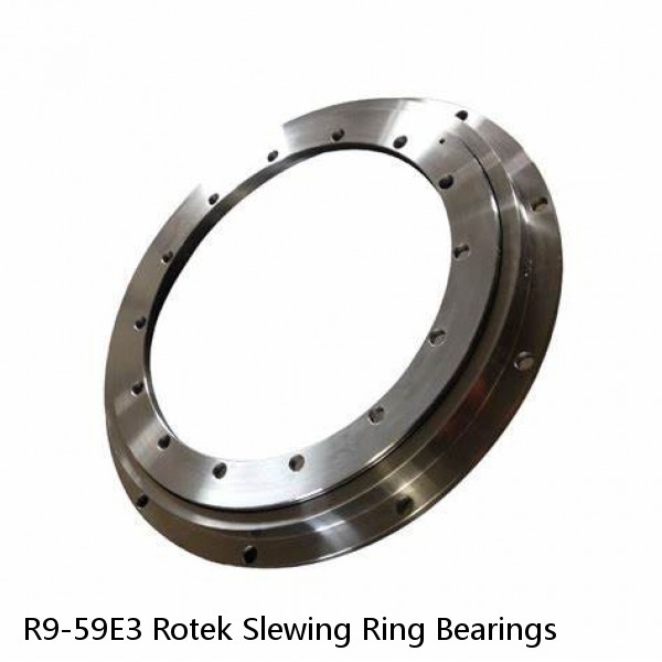 R9-59E3 Rotek Slewing Ring Bearings