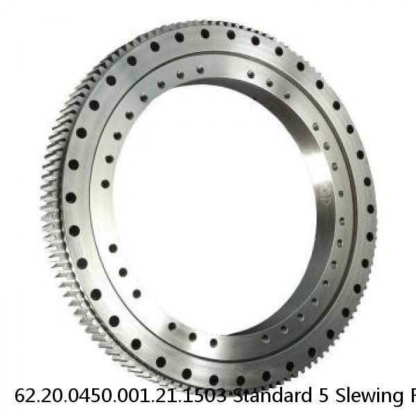 62.20.0450.001.21.1503 Standard 5 Slewing Ring Bearings