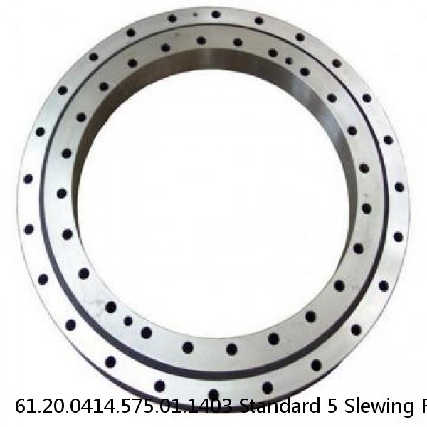 61.20.0414.575.01.1403 Standard 5 Slewing Ring Bearings