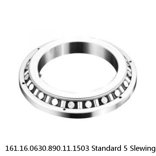 161.16.0630.890.11.1503 Standard 5 Slewing Ring Bearings