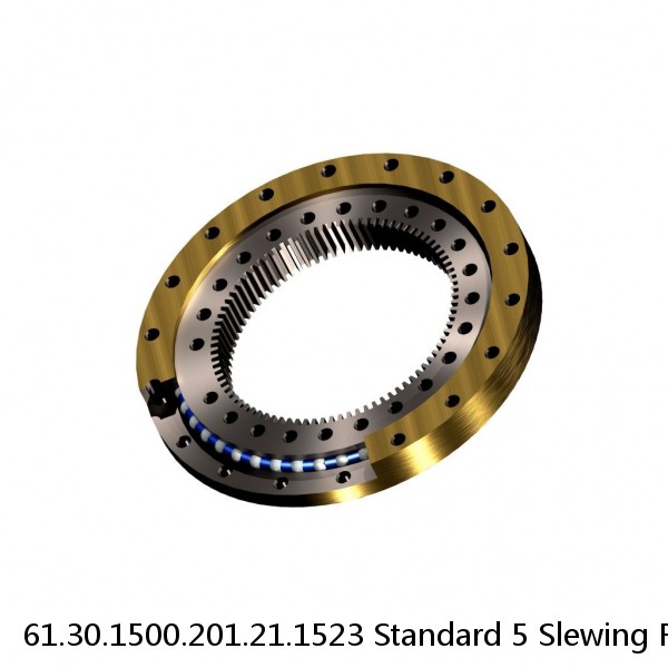 61.30.1500.201.21.1523 Standard 5 Slewing Ring Bearings