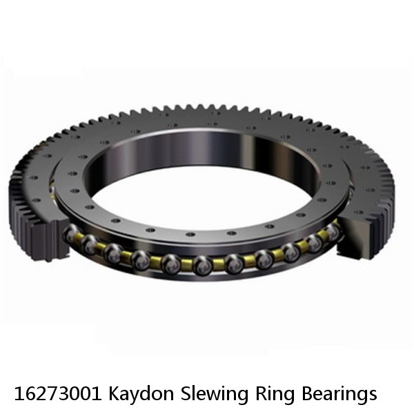 16273001 Kaydon Slewing Ring Bearings