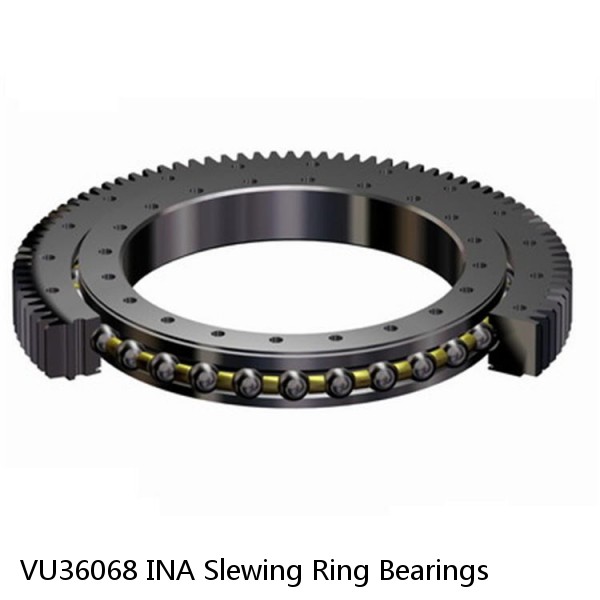 VU36068 INA Slewing Ring Bearings