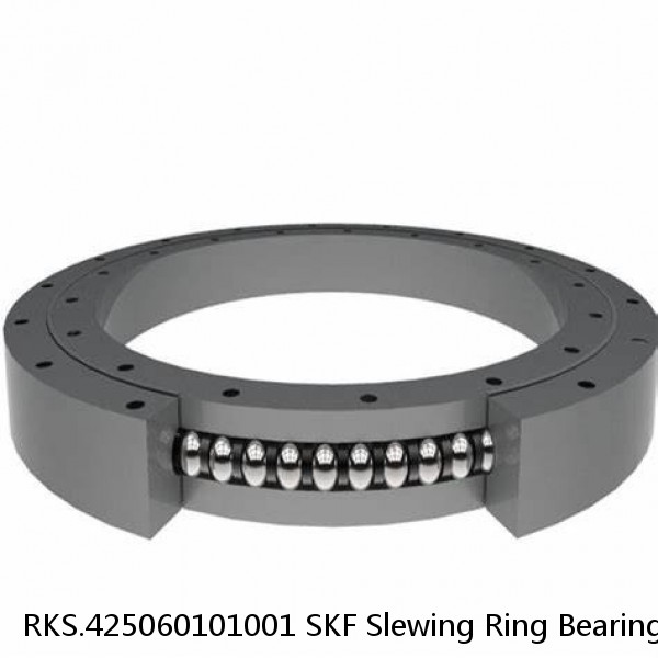 RKS.425060101001 SKF Slewing Ring Bearings