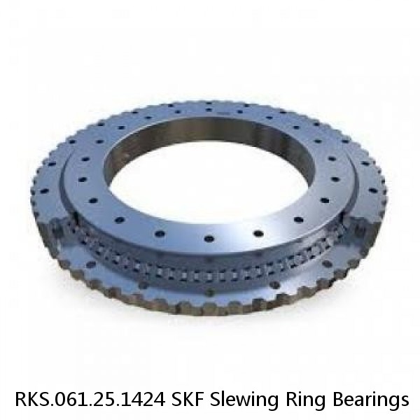 RKS.061.25.1424 SKF Slewing Ring Bearings