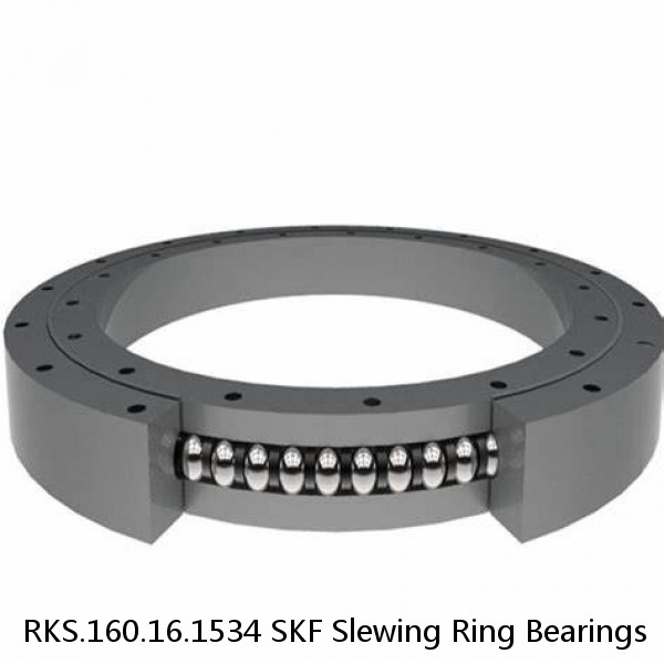 RKS.160.16.1534 SKF Slewing Ring Bearings