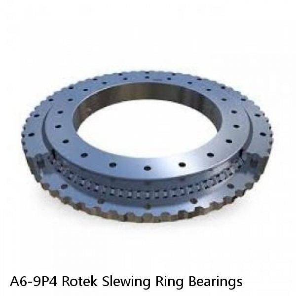 A6-9P4 Rotek Slewing Ring Bearings