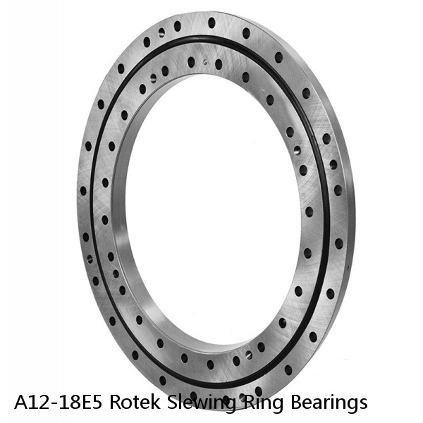 A12-18E5 Rotek Slewing Ring Bearings