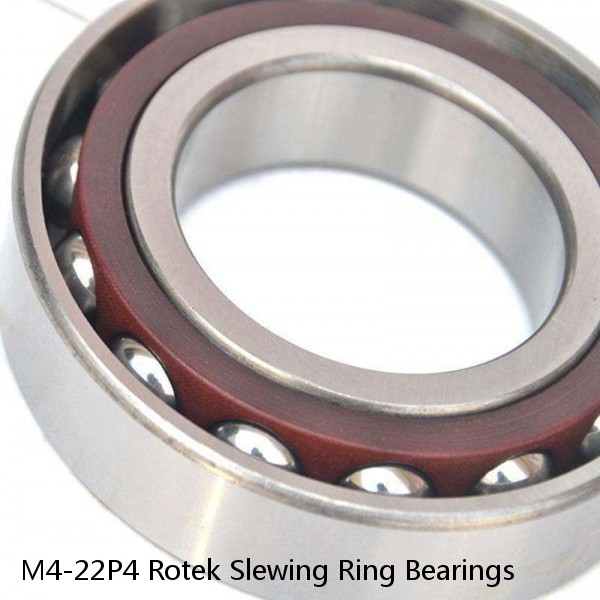 M4-22P4 Rotek Slewing Ring Bearings