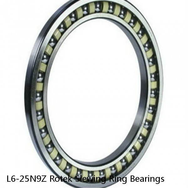 L6-25N9Z Rotek Slewing Ring Bearings