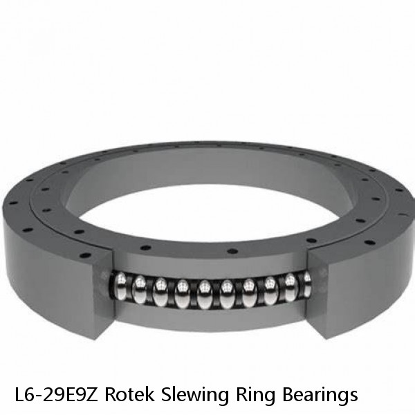 L6-29E9Z Rotek Slewing Ring Bearings