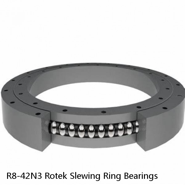 R8-42N3 Rotek Slewing Ring Bearings