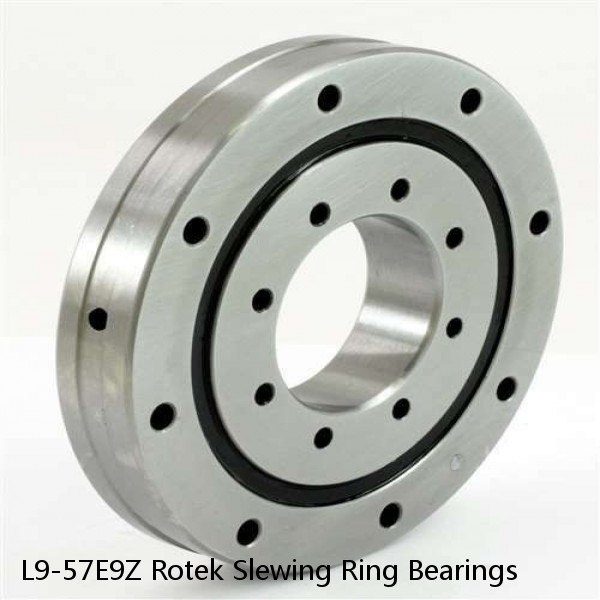 L9-57E9Z Rotek Slewing Ring Bearings