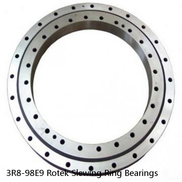 3R8-98E9 Rotek Slewing Ring Bearings