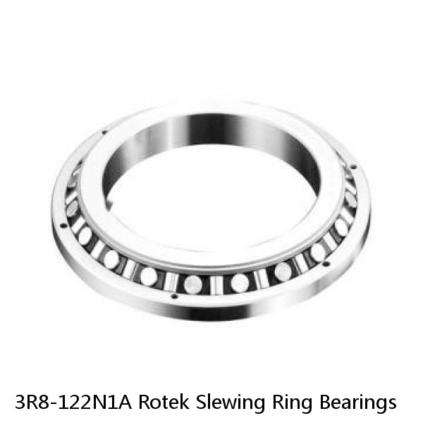 3R8-122N1A Rotek Slewing Ring Bearings