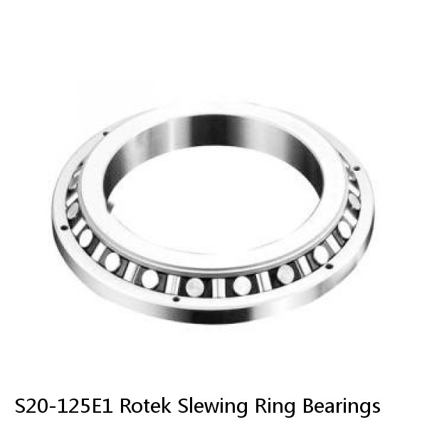 S20-125E1 Rotek Slewing Ring Bearings