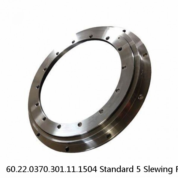 60.22.0370.301.11.1504 Standard 5 Slewing Ring Bearings