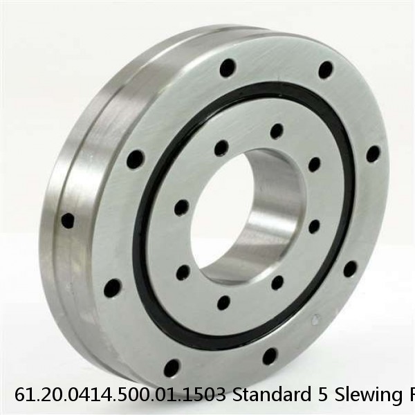 61.20.0414.500.01.1503 Standard 5 Slewing Ring Bearings