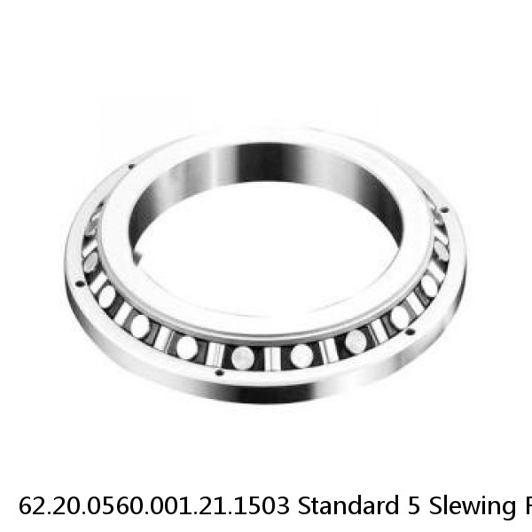 62.20.0560.001.21.1503 Standard 5 Slewing Ring Bearings