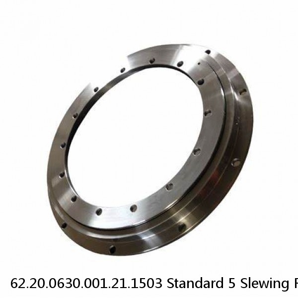 62.20.0630.001.21.1503 Standard 5 Slewing Ring Bearings