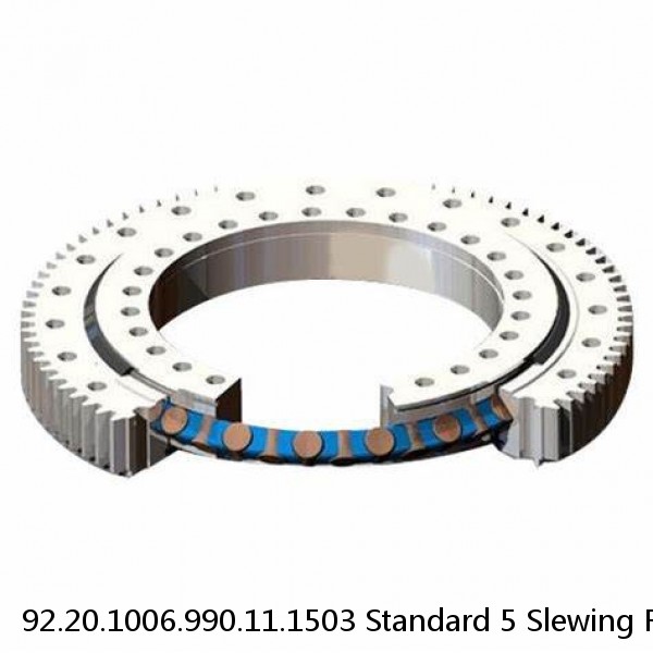 92.20.1006.990.11.1503 Standard 5 Slewing Ring Bearings