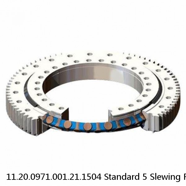 11.20.0971.001.21.1504 Standard 5 Slewing Ring Bearings