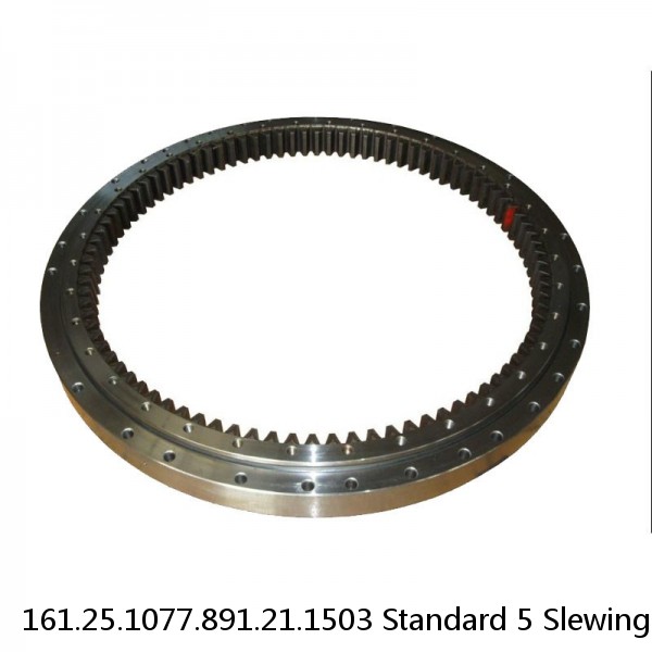 161.25.1077.891.21.1503 Standard 5 Slewing Ring Bearings