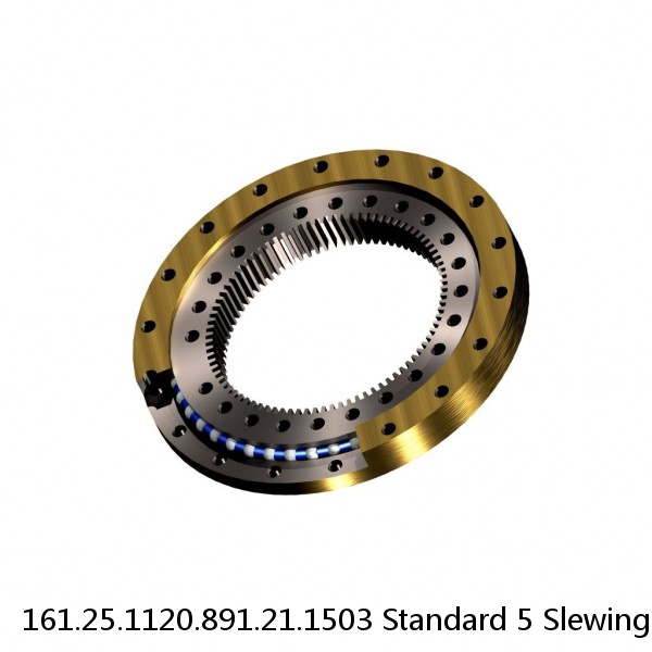 161.25.1120.891.21.1503 Standard 5 Slewing Ring Bearings