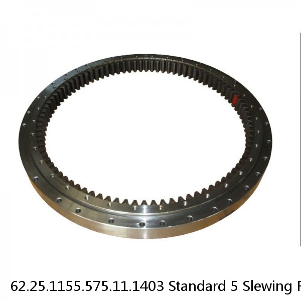 62.25.1155.575.11.1403 Standard 5 Slewing Ring Bearings