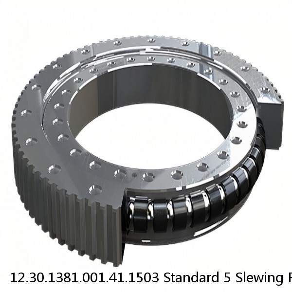 12.30.1381.001.41.1503 Standard 5 Slewing Ring Bearings